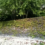 Molo Bellavista - Vista - Parcheggio Privato *